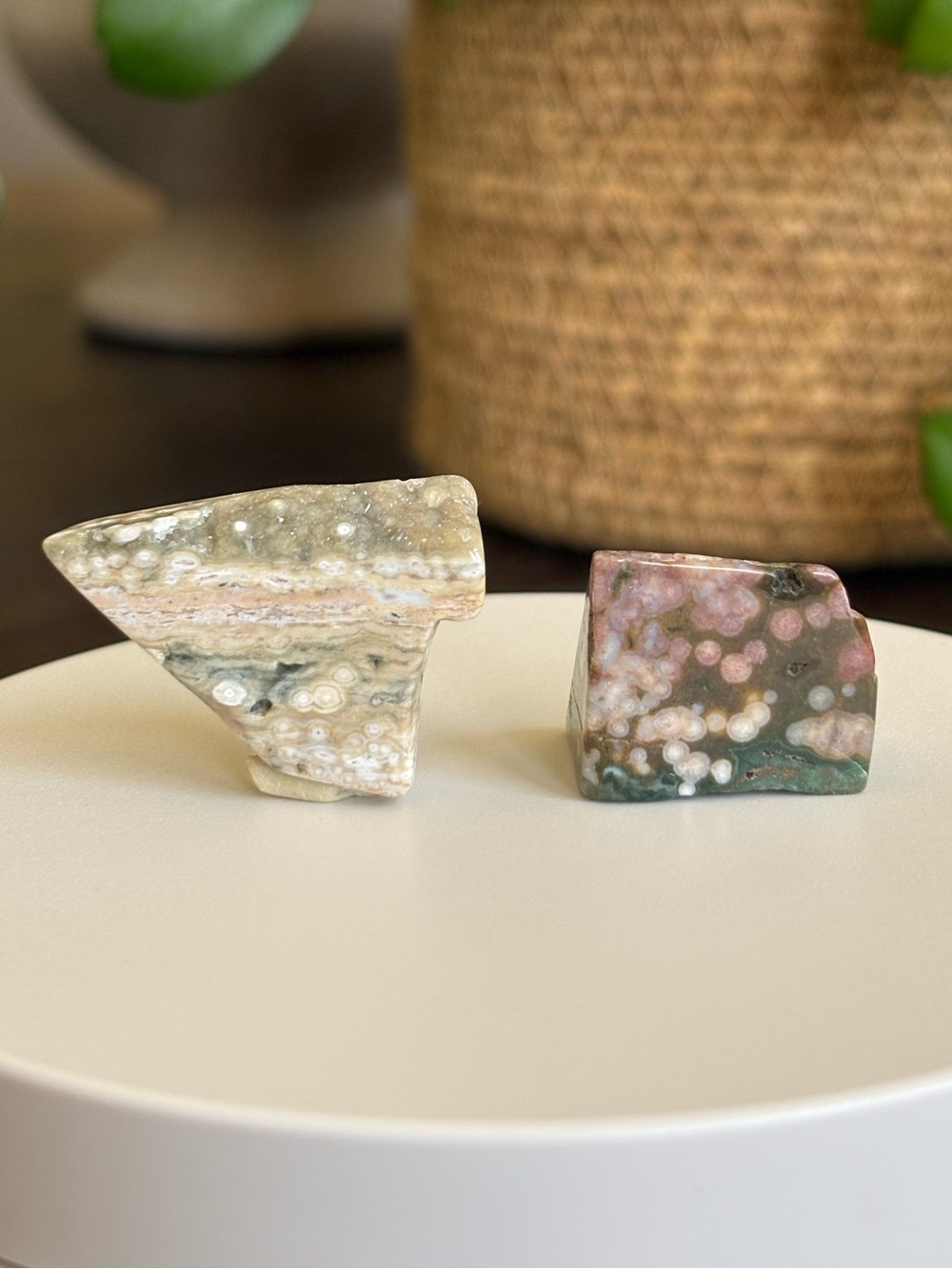 Druzy Ocean Jasper Crystal Set - Polished Sea Jasper Bundle - Picture 3 of 7